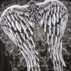 Gothic Wings Print Rhinestone Graphic Top Long Tee 5